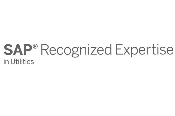 Partner SAP Recognized Expertise